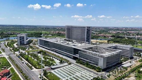 黄陂人民医院,招人了