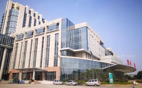 重要公告 临沂市人民医院骨科医院整体搬迁至北城新区