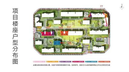 蛇口人民医院 滨海之畔的健康守护者