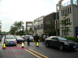 观澜首现通宵排队日光盘，招商·澜园开盘照亮蛇口人民医院新篇章